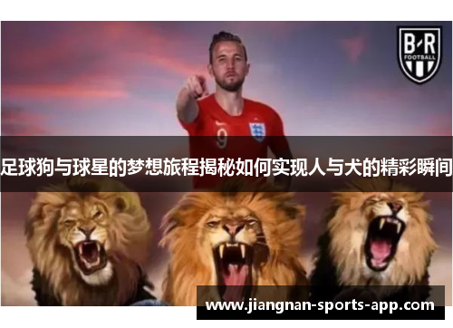 足球狗与球星的梦想旅程揭秘如何实现人与犬的精彩瞬间
